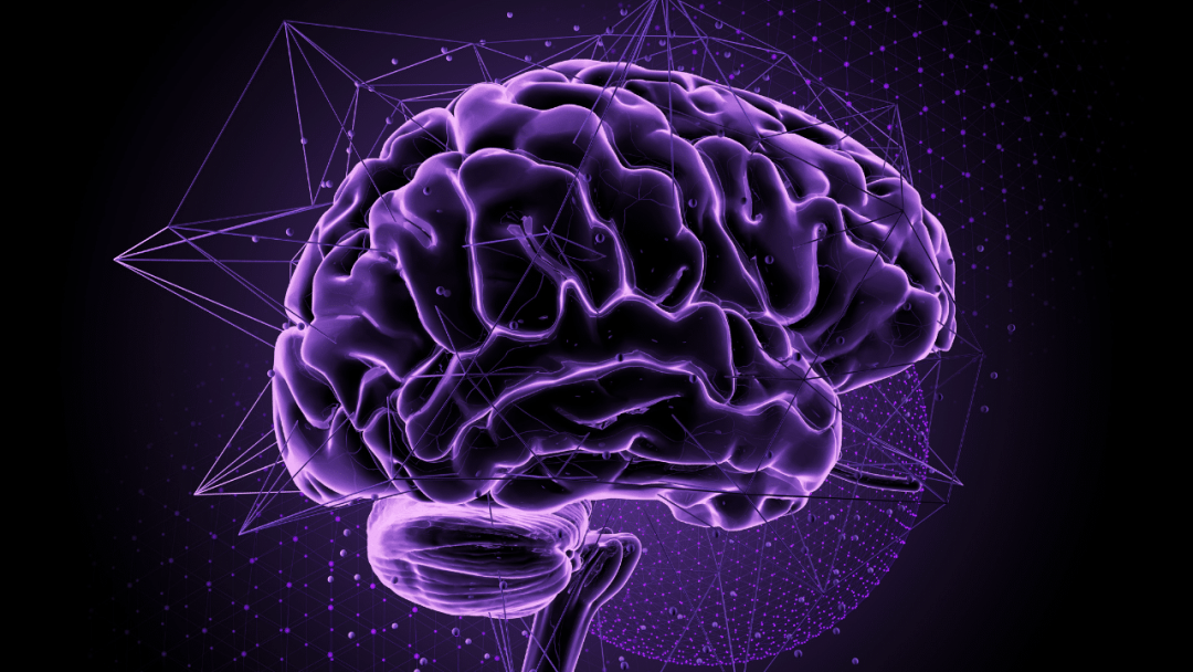 AI Policy Guide Every Workplace Should Follow 